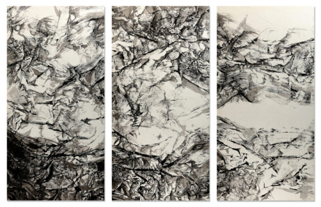 Fractales - Structures du chaos - 2