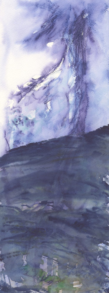 Chants d'arbres et de lumière - 2