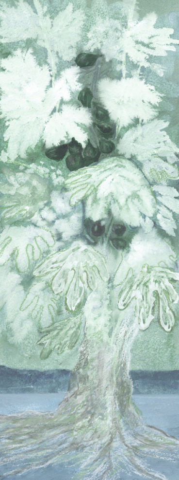Chants d'arbres et de lumière - 4