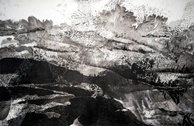 Fractales - Structures du chaos - 5